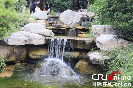 河南许昌:“南水”让莲城增颜 群众生活多彩_fororder_市民在北海公园里赏景 摄影 王小军.JPG
