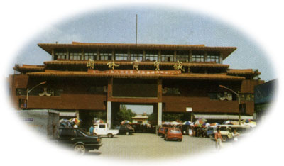 ������ó�Ǵ���