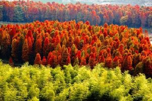 最后的秋味 江浙沪十大隐世美景地