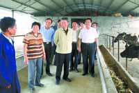 &ldquo;第一书记&rdquo;驻俺村